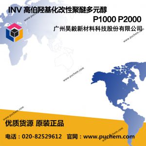 INV �߲��ǻ������Ծ��Ѷ�Ԫ�� P1000 P2000