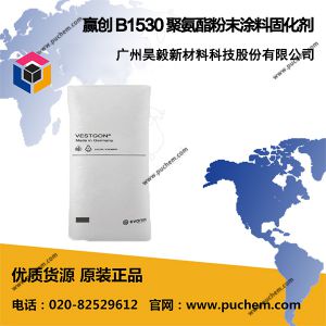 Ӯ���¹���Degussa Vestagon B1530 �۰�����ĩͿ�Ϲ̻��� B 1530