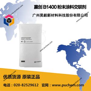 Ӯ���¹���Degussa Vestagon B1400 ��ĩͿ�Ͻ�����