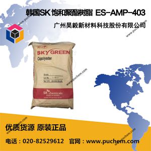 SKYBON ES-AMP-403 �ĺ;�����֬ Trial product